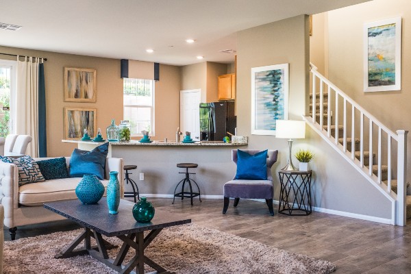 Living Room in Jackonsville Home